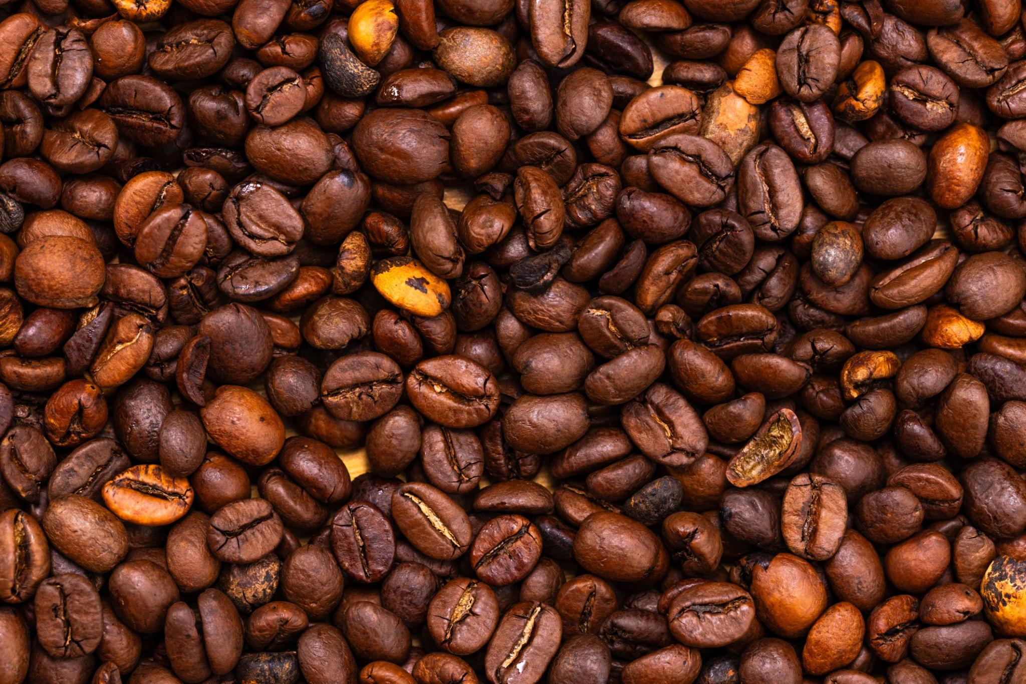Green coffee beans from the Gayo Highlands